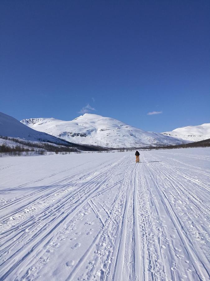 Lapphaugen Turiststasjon Villa Tennevoll Екстериор снимка