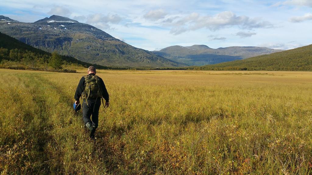 Lapphaugen Turiststasjon Villa Tennevoll Екстериор снимка